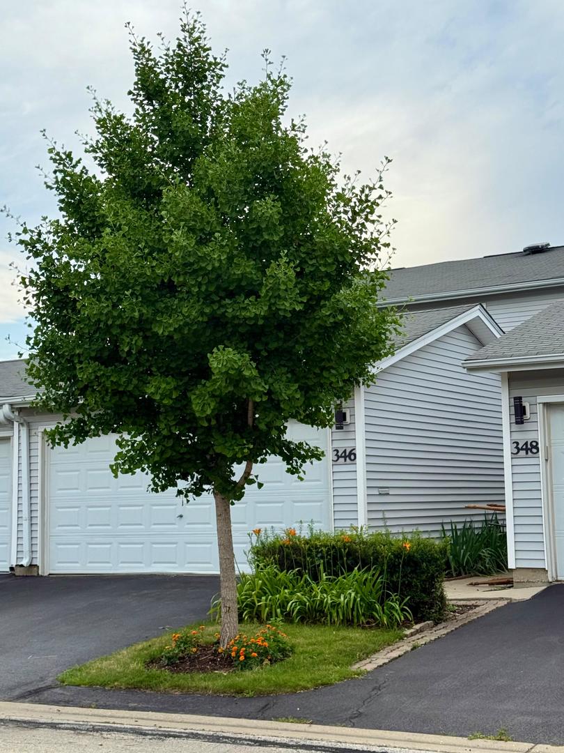 346 Hazelwood Terrace, Buffalo Grove, IL 60089