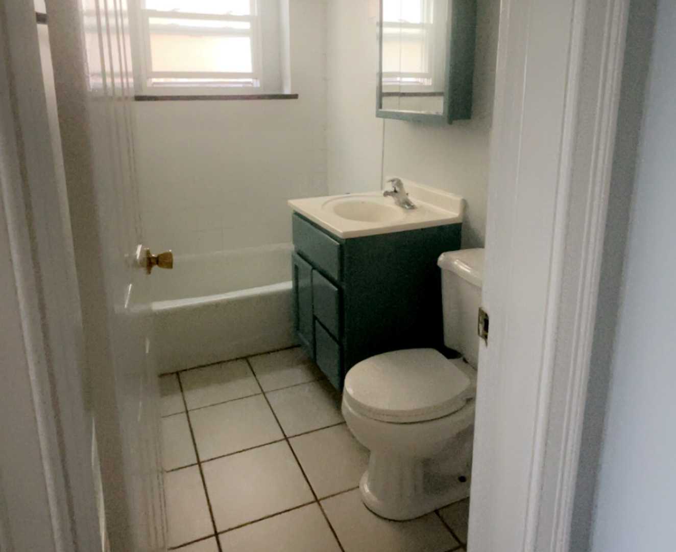 726 Dobson Street #1, Evanston, IL 60202