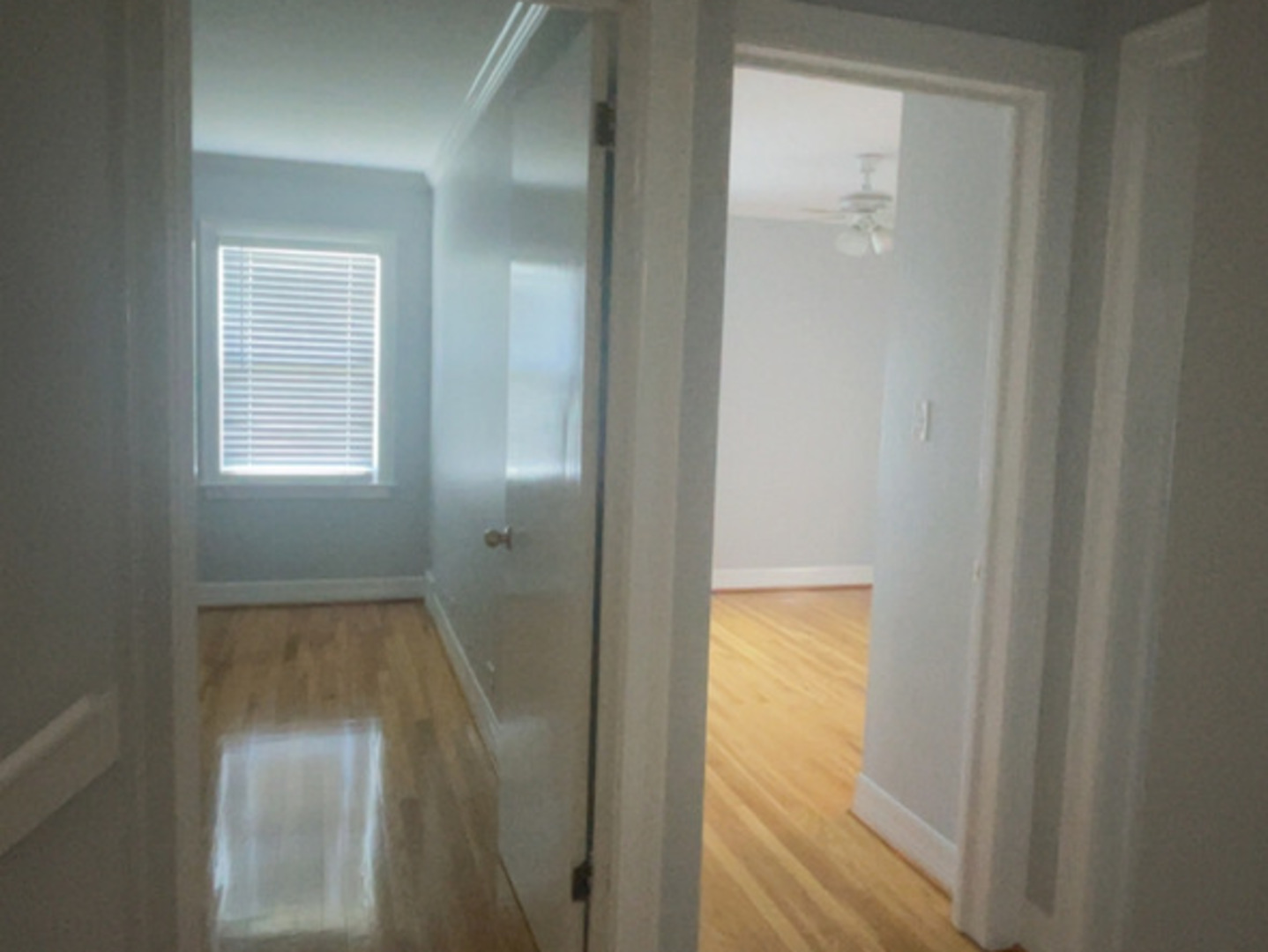 726 Dobson Street #1, Evanston, IL 60202