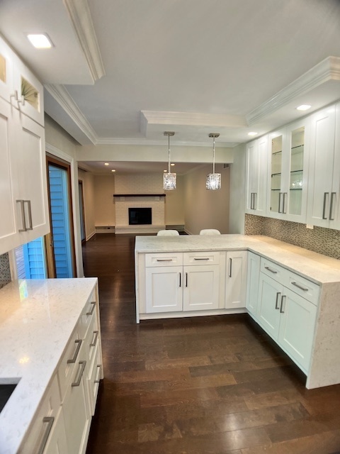 1153 Hyde Park Lane, Naperville, IL 60565