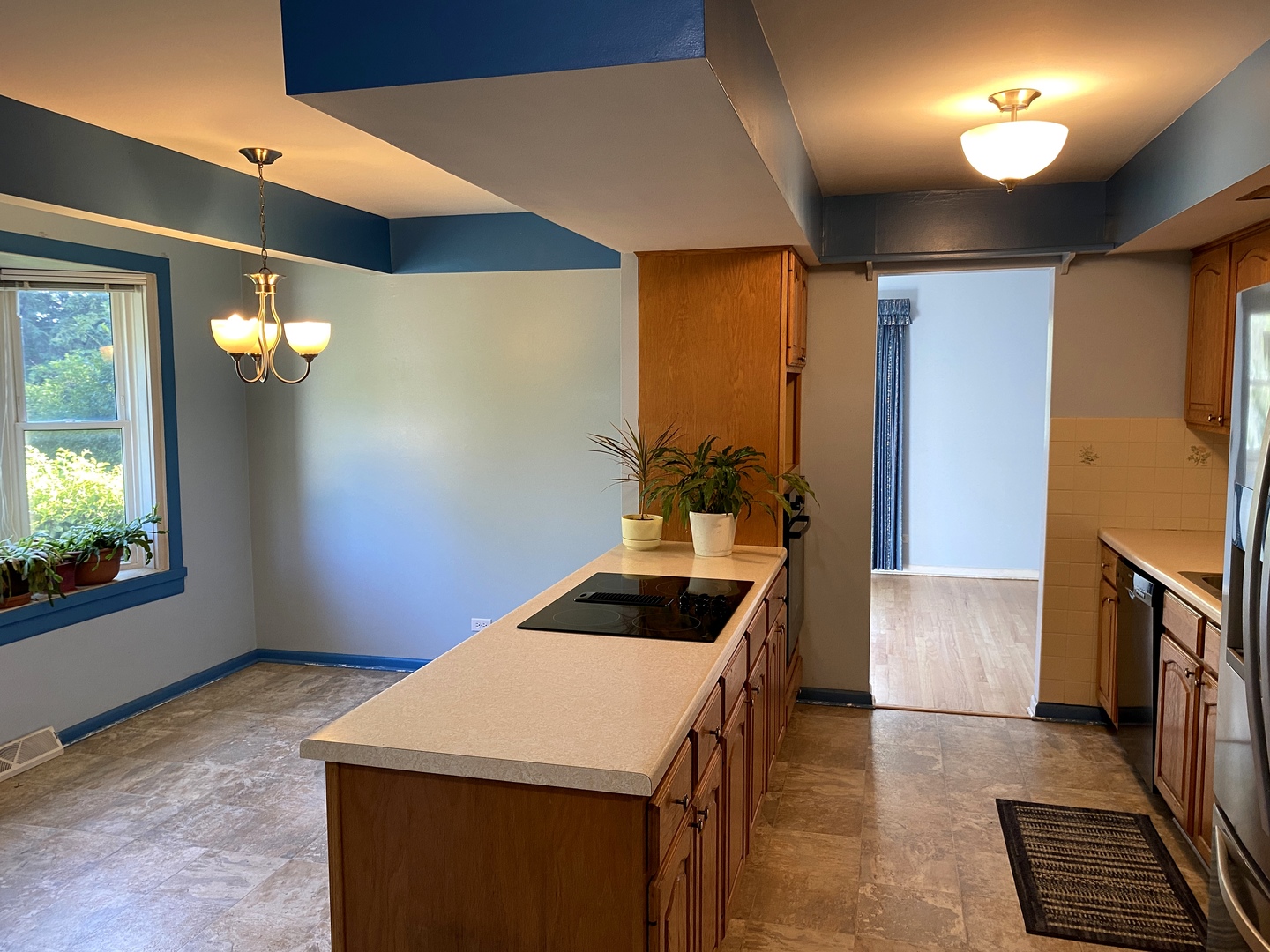 1005 69th Street, Darien, IL 60561