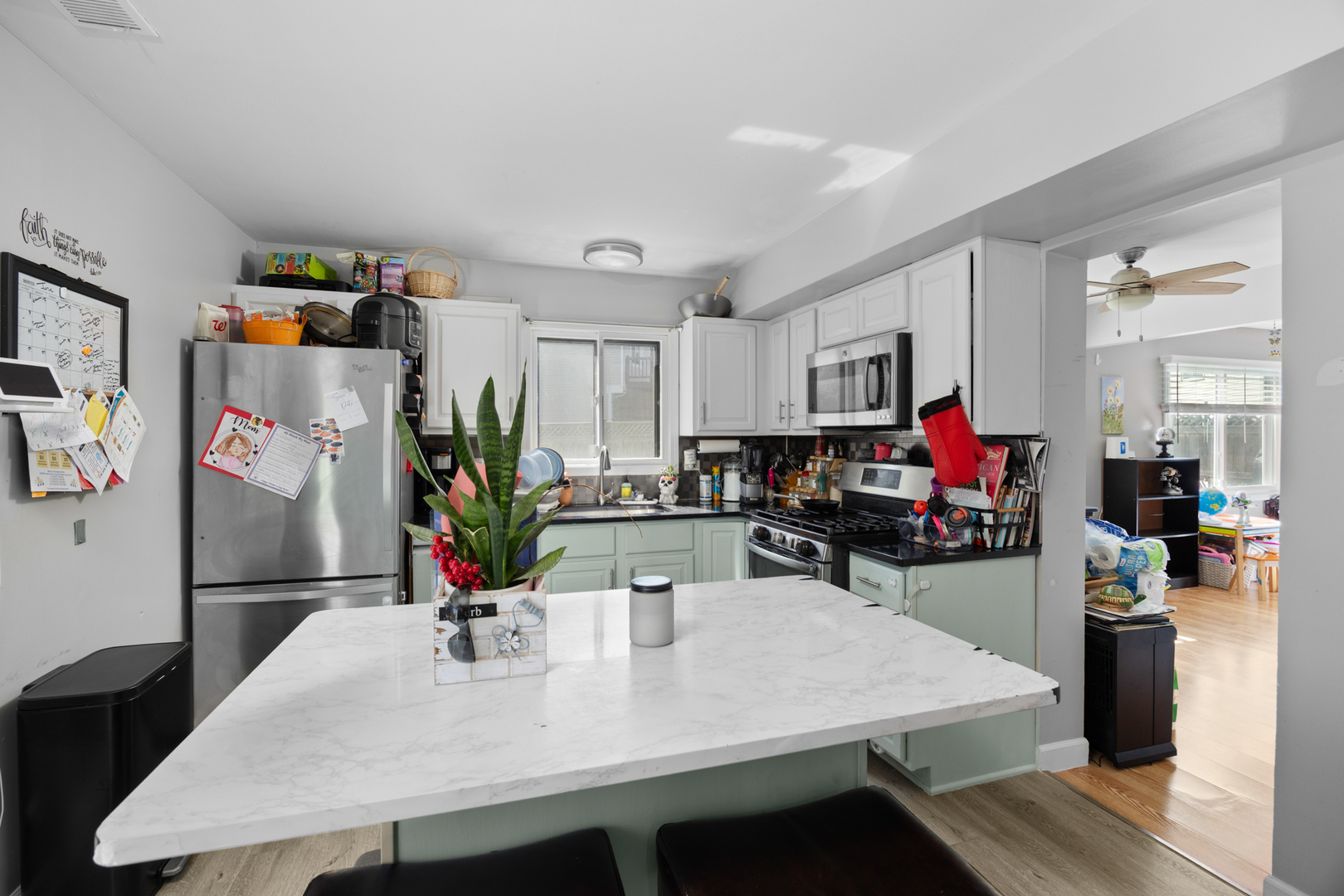 1100 Singleton Drive, Roselle, IL 60172