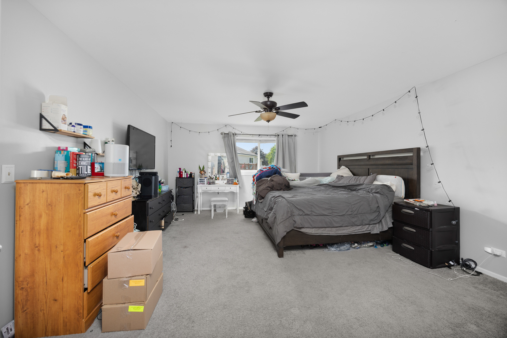 1100 Singleton Drive, Roselle, IL 60172