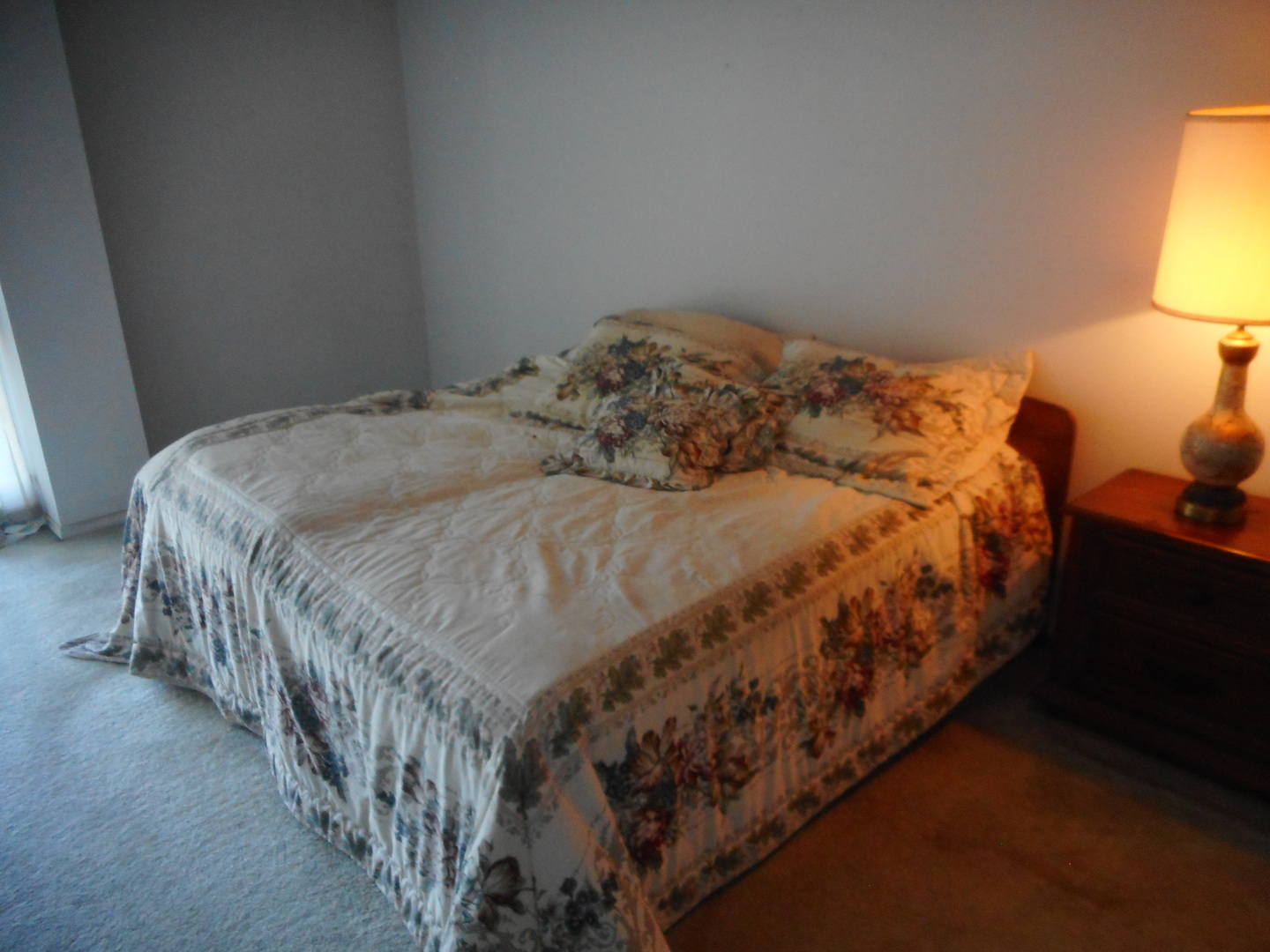 465 W Dominion Drive #508, Wood Dale, IL 60191