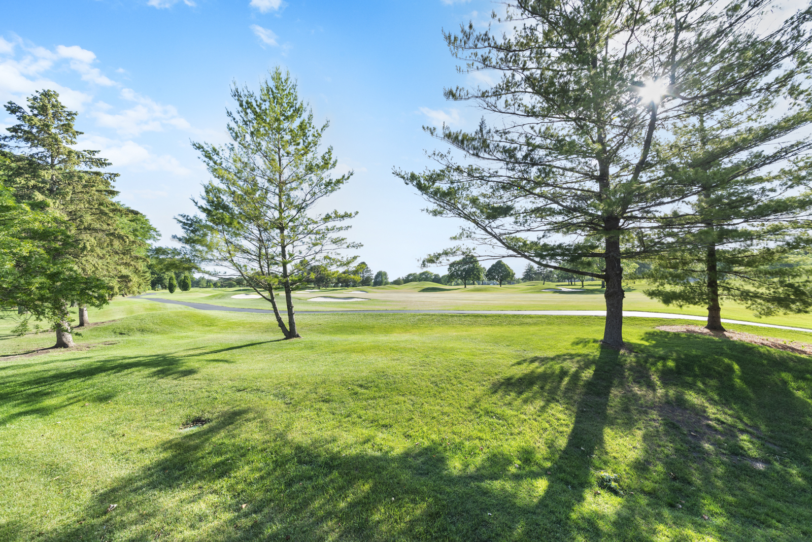4006 Royal Fox Drive, St. Charles, IL 60174