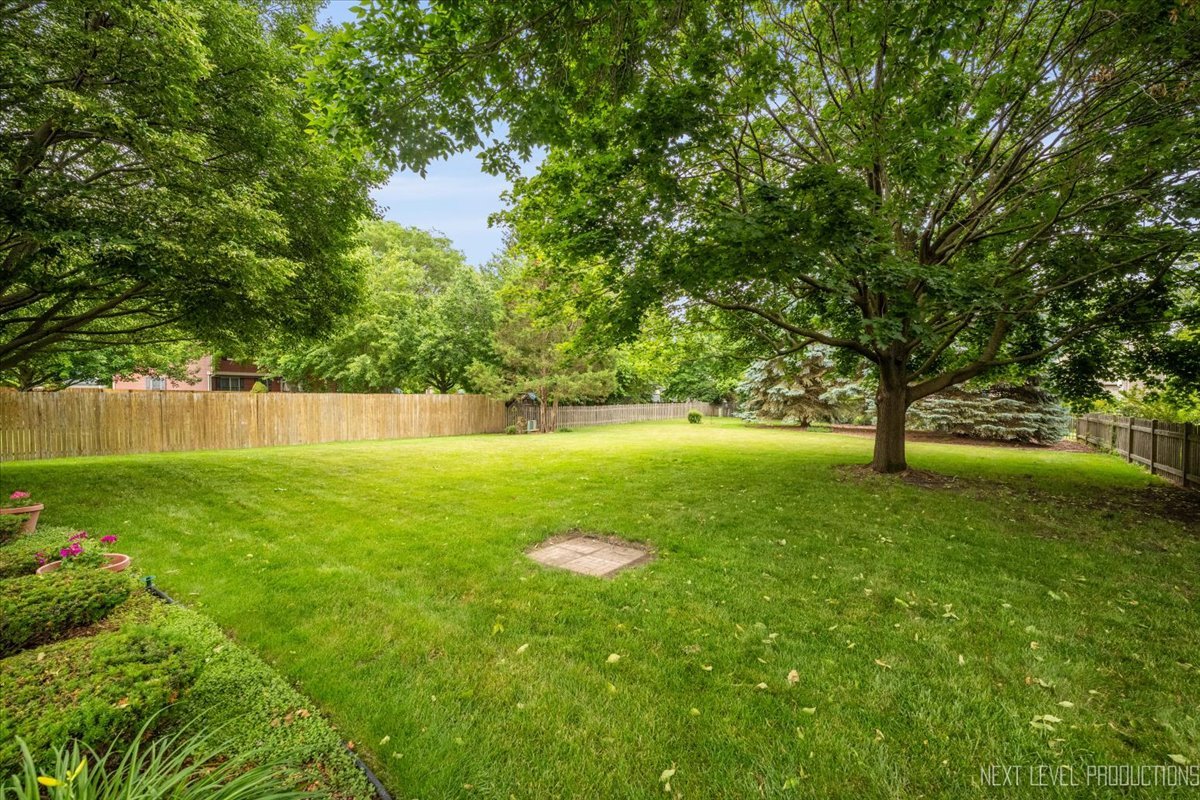 133 Autumn Rdg Drive, Montgomery, IL 60538
