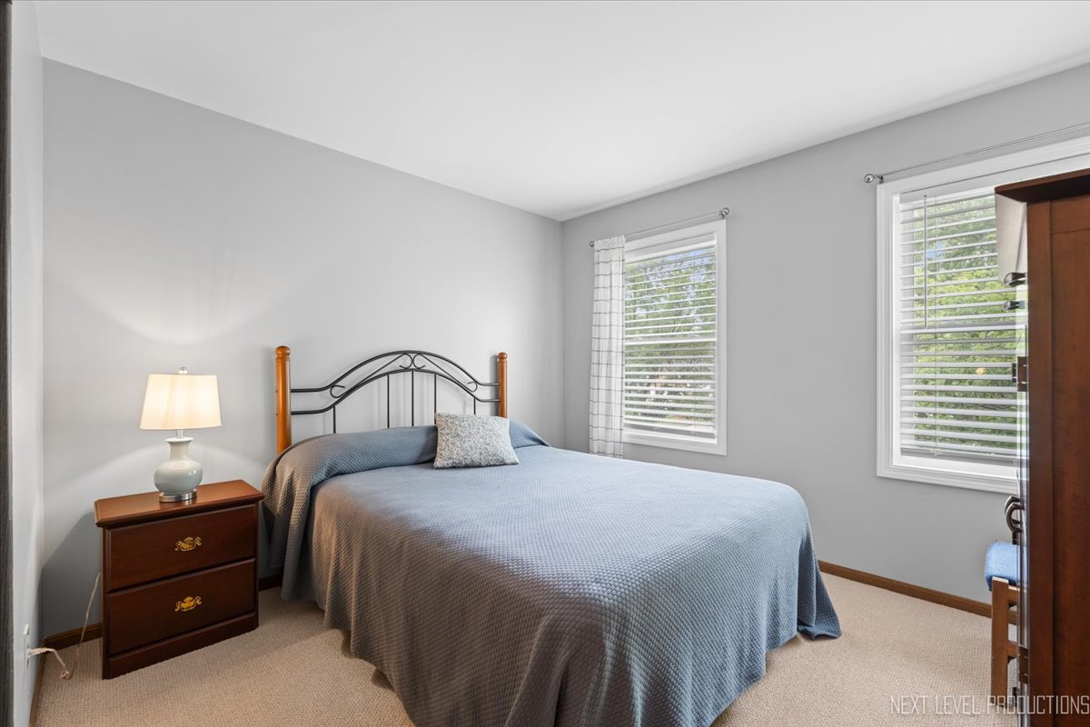 133 Autumn Rdg Drive, Montgomery, IL 60538