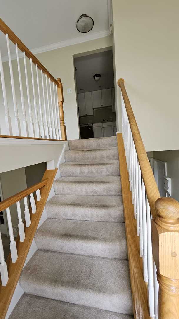 955 Elderberry Circle #103, Naperville, IL 60563