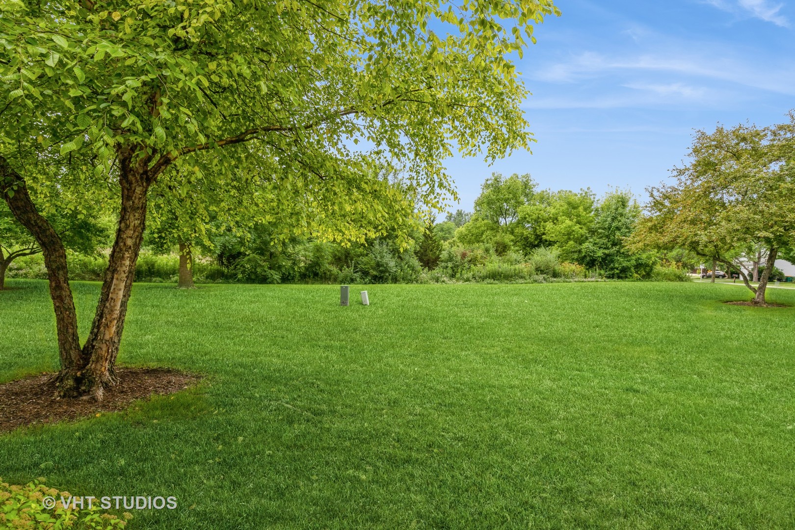 1358 Longchamps Court, Grayslake, IL 60030
