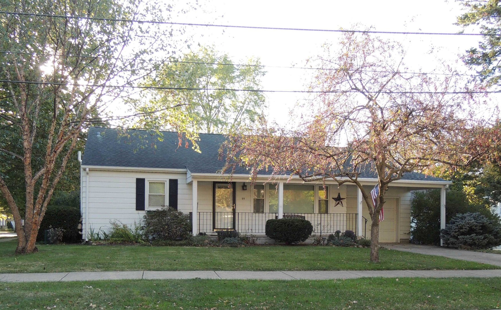 99 Park Street, Oswego, IL 60543