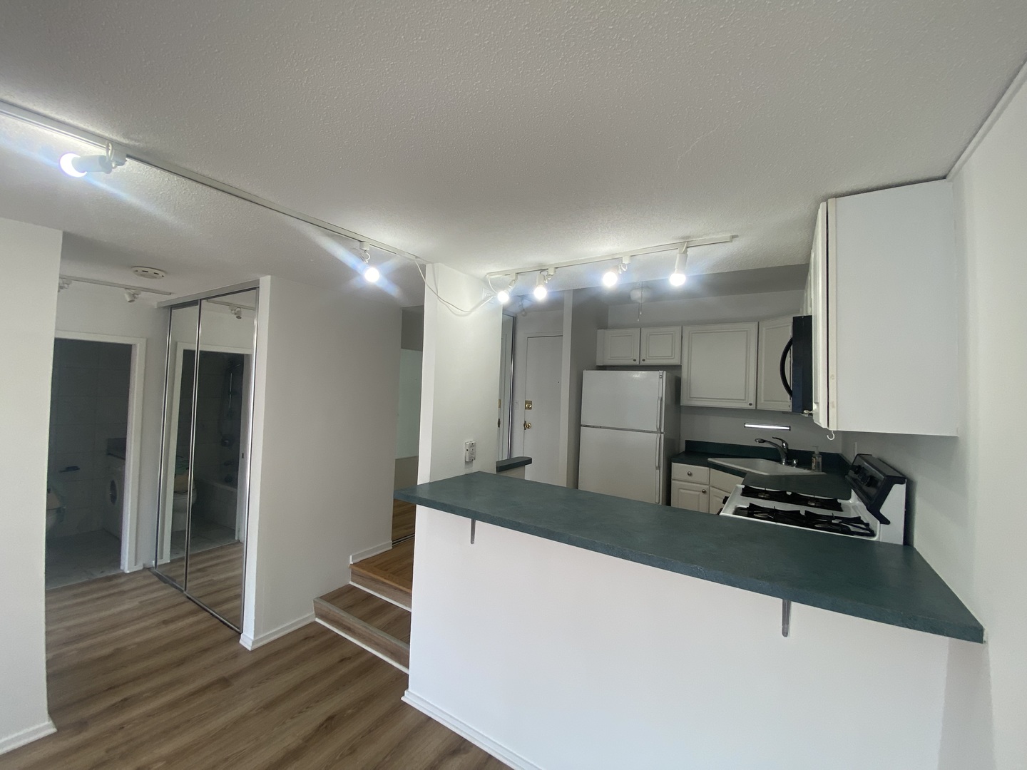 230 E Ontario Street #2304, Chicago, IL 60611