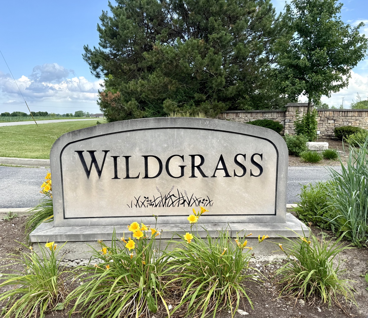 26329 S Wildgrass, Monee, IL 60449