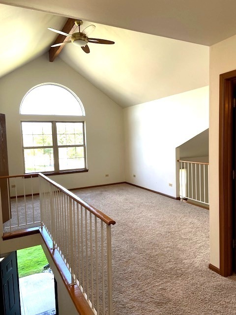 3729 W Glen Avenue, Alsip, IL 60803