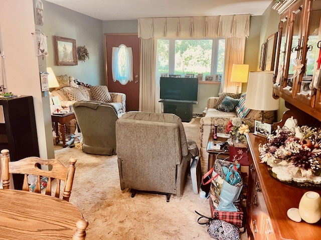 25641 S Oakview Court, Channahon, IL 60410
