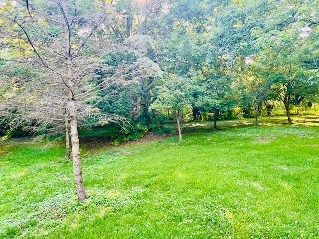 25641 S Oakview Court, Channahon, IL 60410