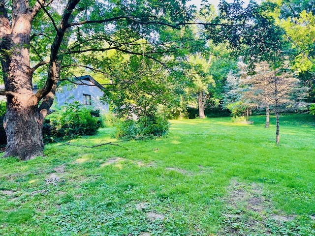 25641 S Oakview Court, Channahon, IL 60410
