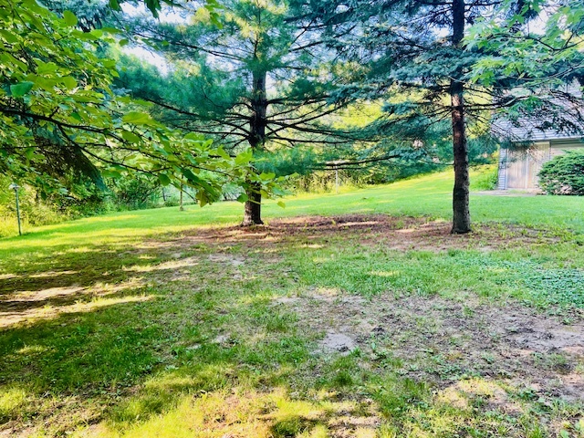 25641 S Oakview Court, Channahon, IL 60410