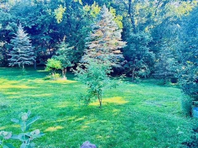 25641 S Oakview Court, Channahon, IL 60410