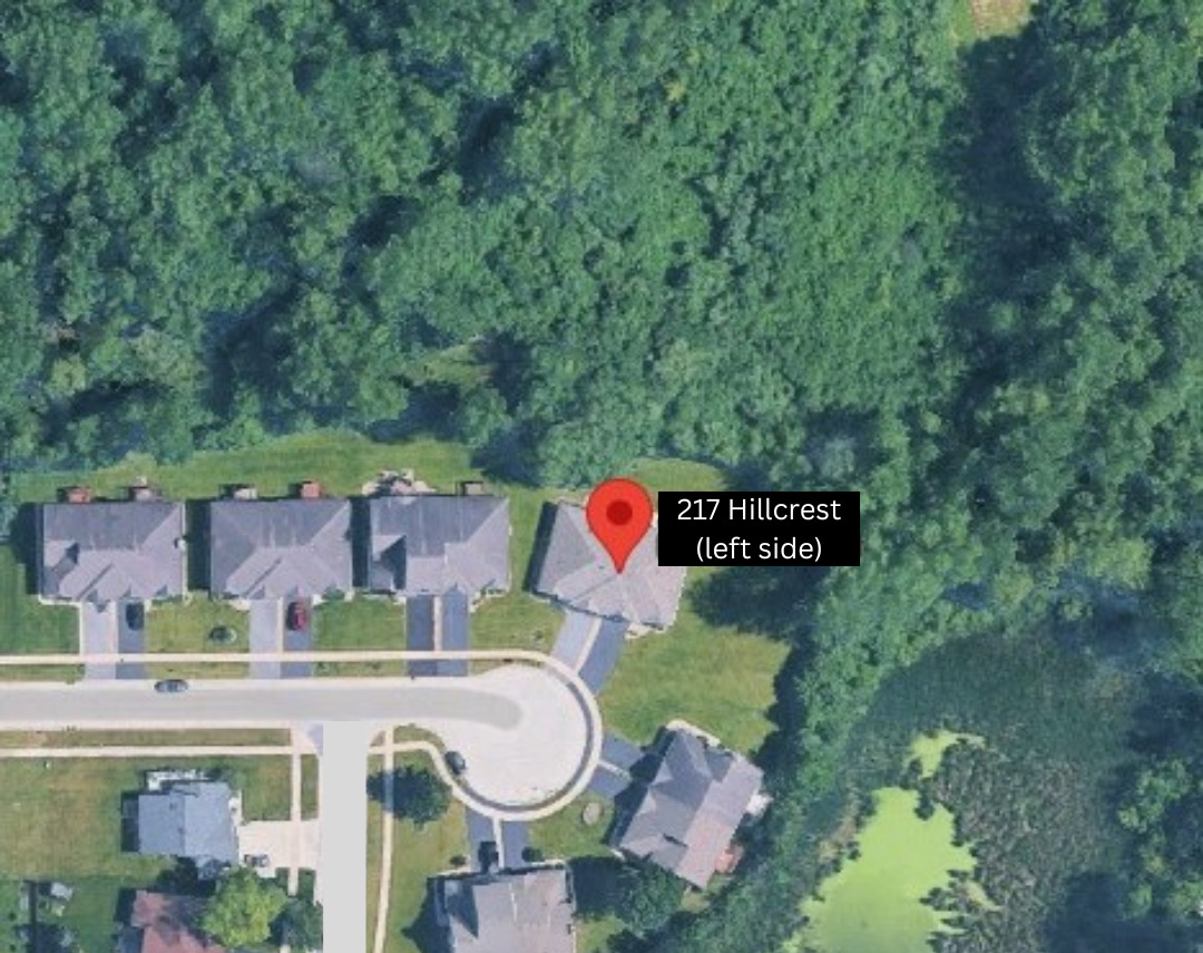 217 Hillcrest Lane, Steger, IL 60475