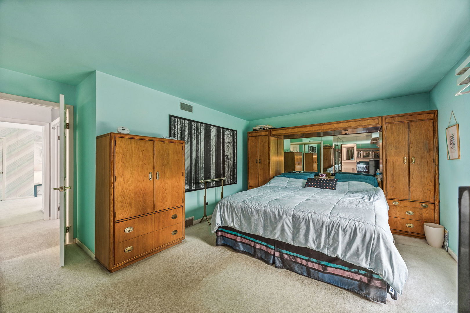 1133 Central Avenue, Downers Grove, IL 60516