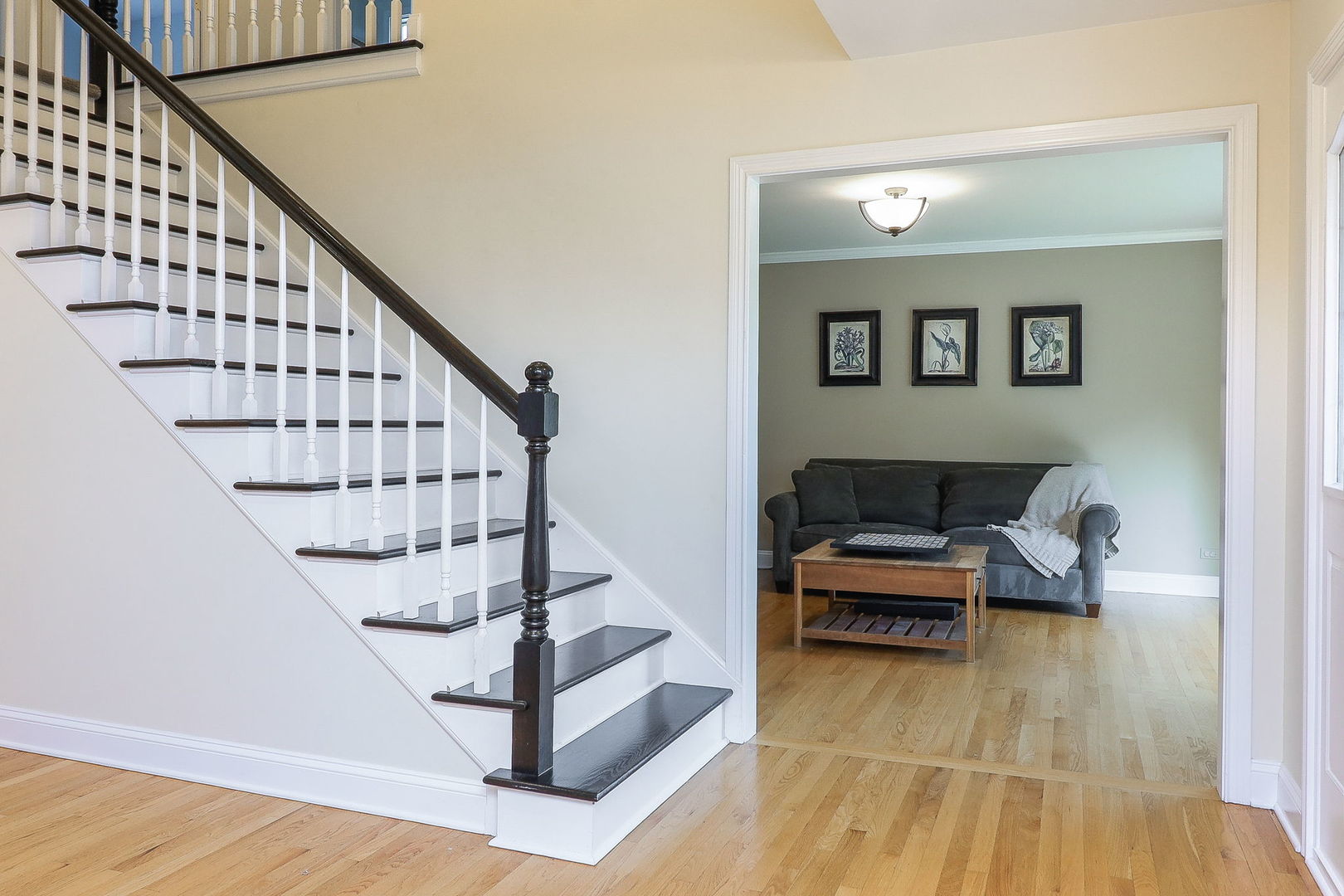 1407 Keats Avenue, Naperville, IL 60564