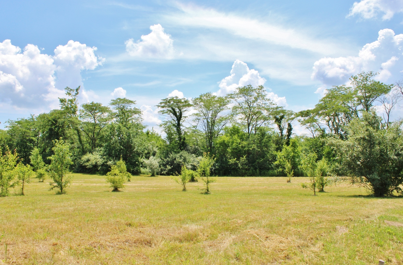 2304 Oakwood Lane, Marseilles, IL 61341