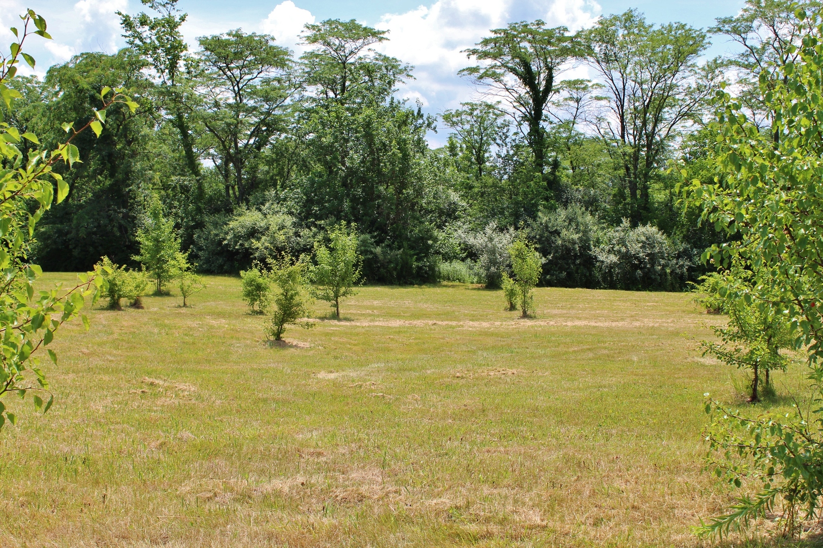 2304 Oakwood Lane, Marseilles, IL 61341