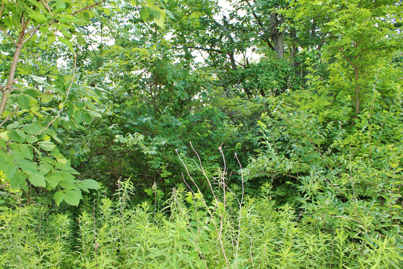 2304 Oakwood Lane, Marseilles, IL 61341