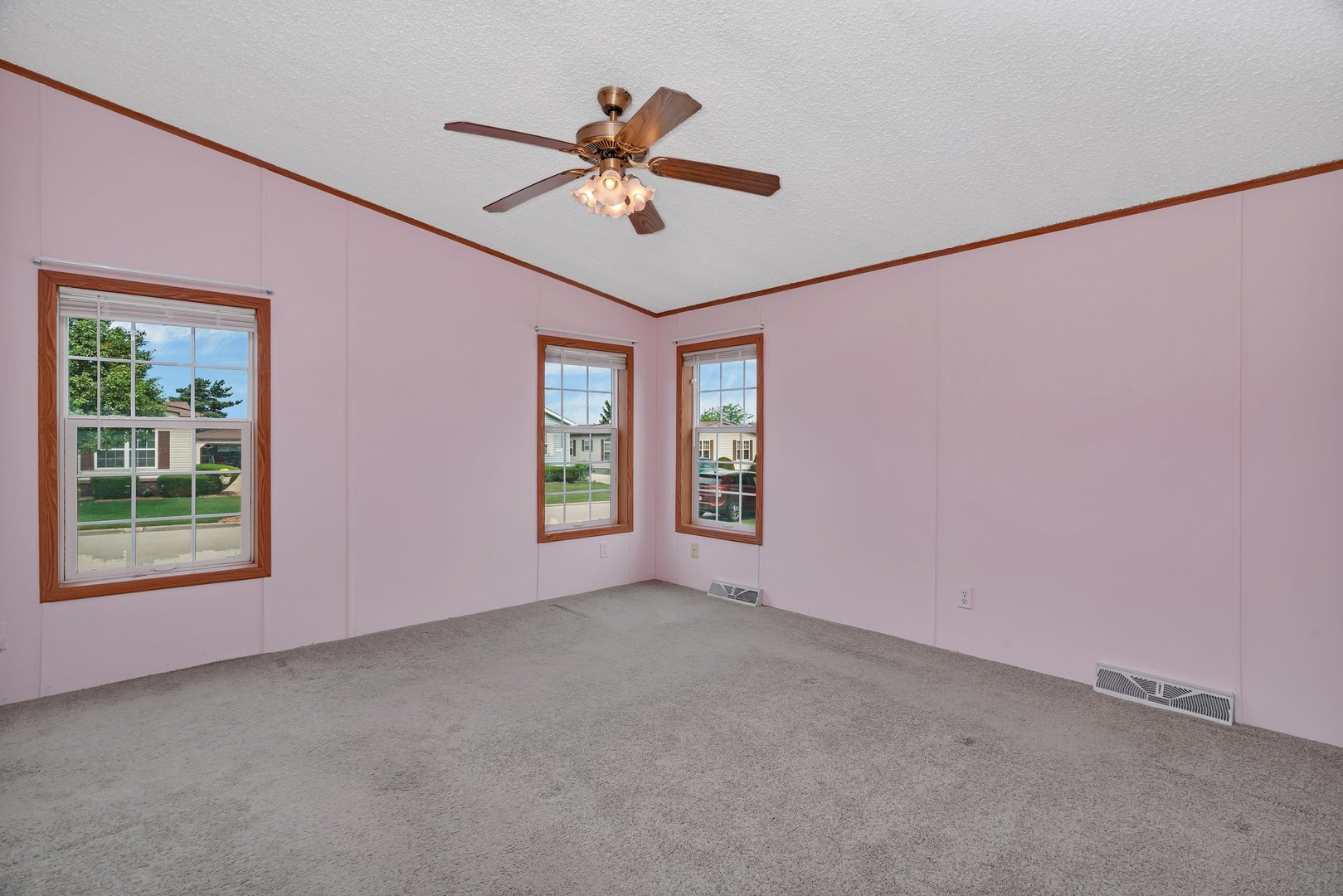 23013 S Big Run Drive, Frankfort, IL 60423
