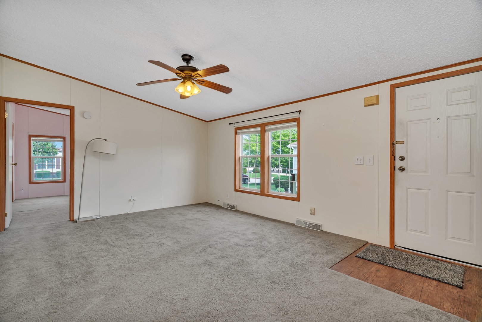 23013 S Big Run Drive, Frankfort, IL 60423