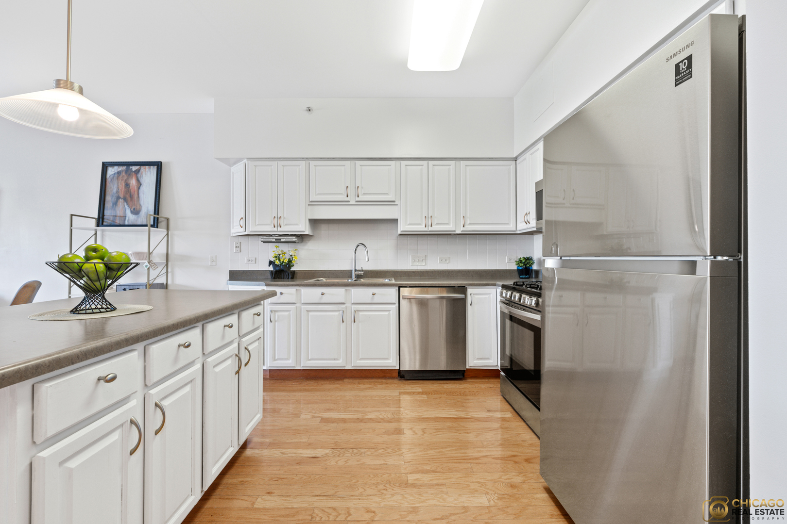 8200 Lincoln Avenue #406, Skokie, IL 60077