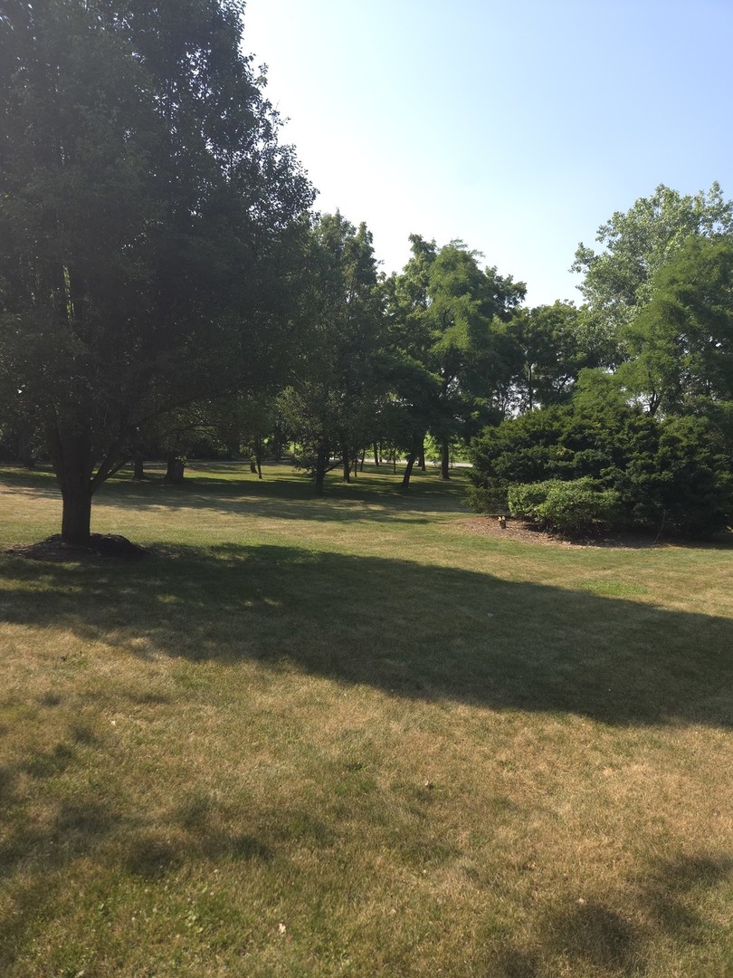 9417 W Steger Road, Frankfort, IL 60423