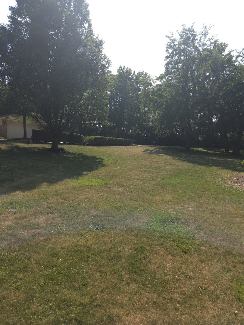 9417 W Steger Road, Frankfort, IL 60423