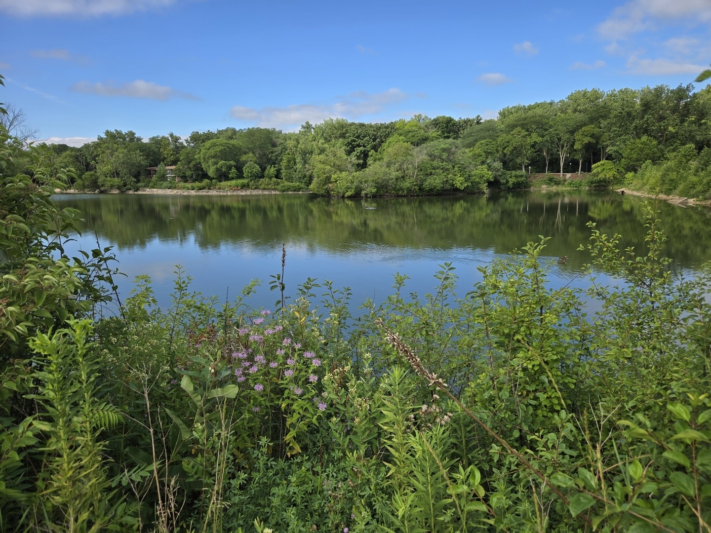5900 Forest View Road #2A, Lisle, IL 60532