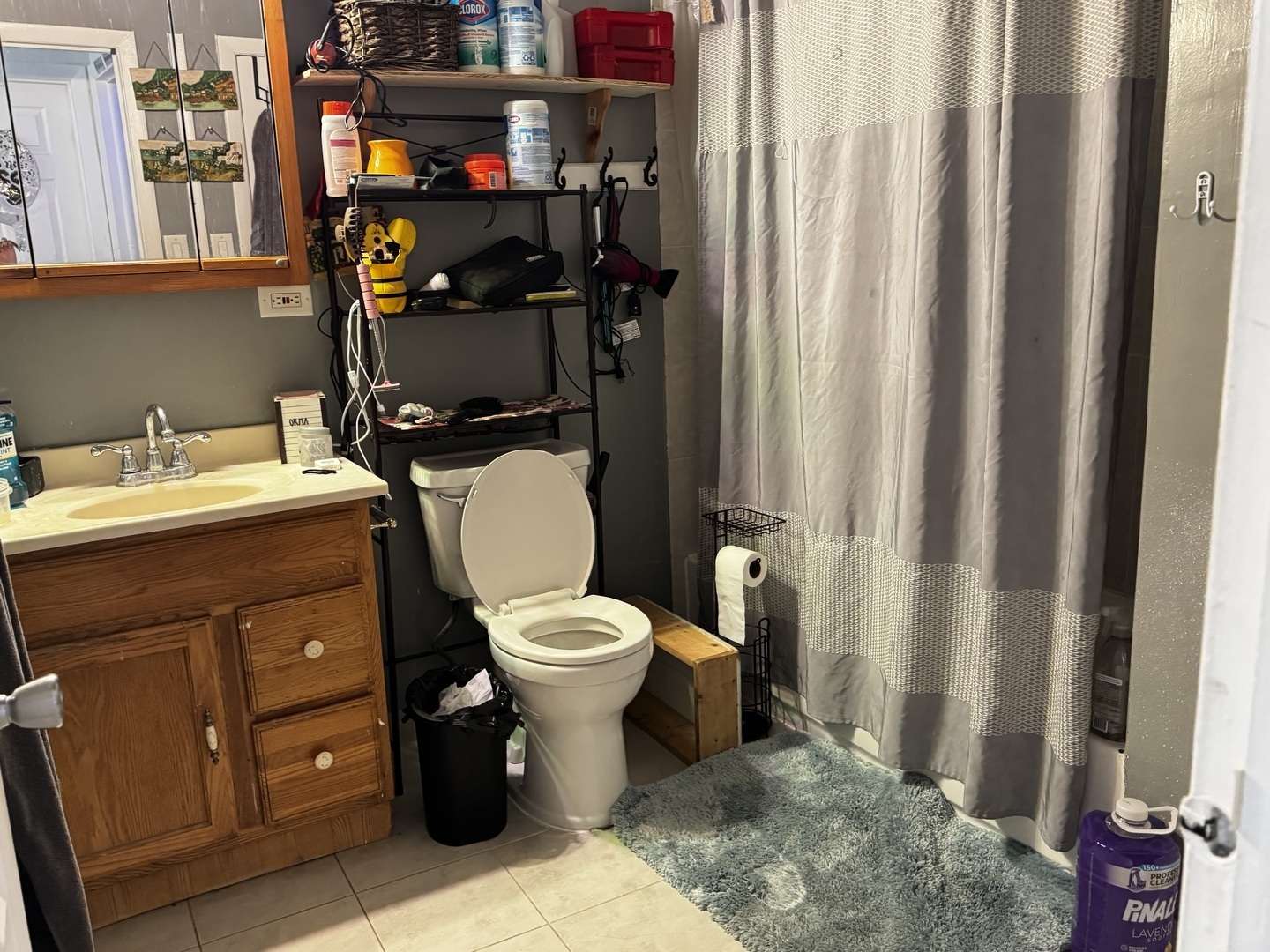 1B E Dundee Quarter Drive #102, Palatine, IL 60074