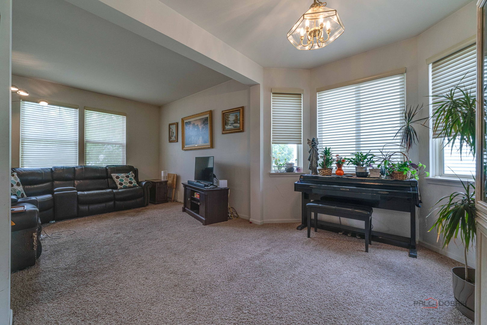399 W Cambria Drive, Round Lake, IL 60073
