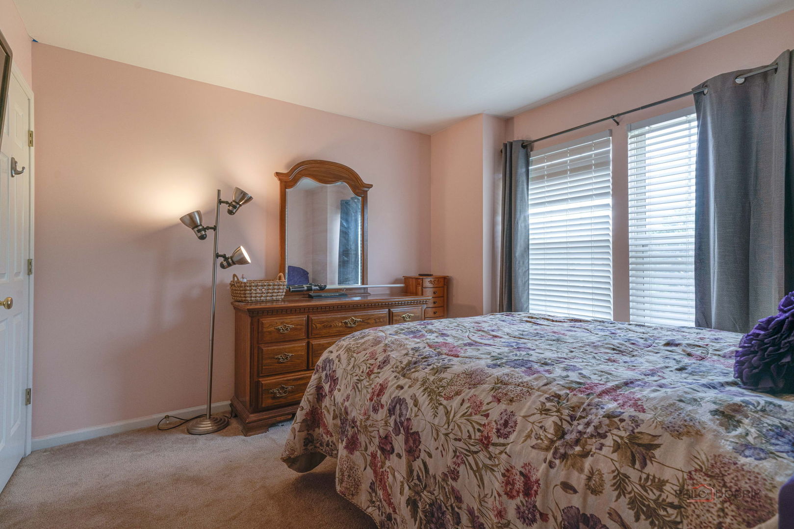 399 W Cambria Drive, Round Lake, IL 60073