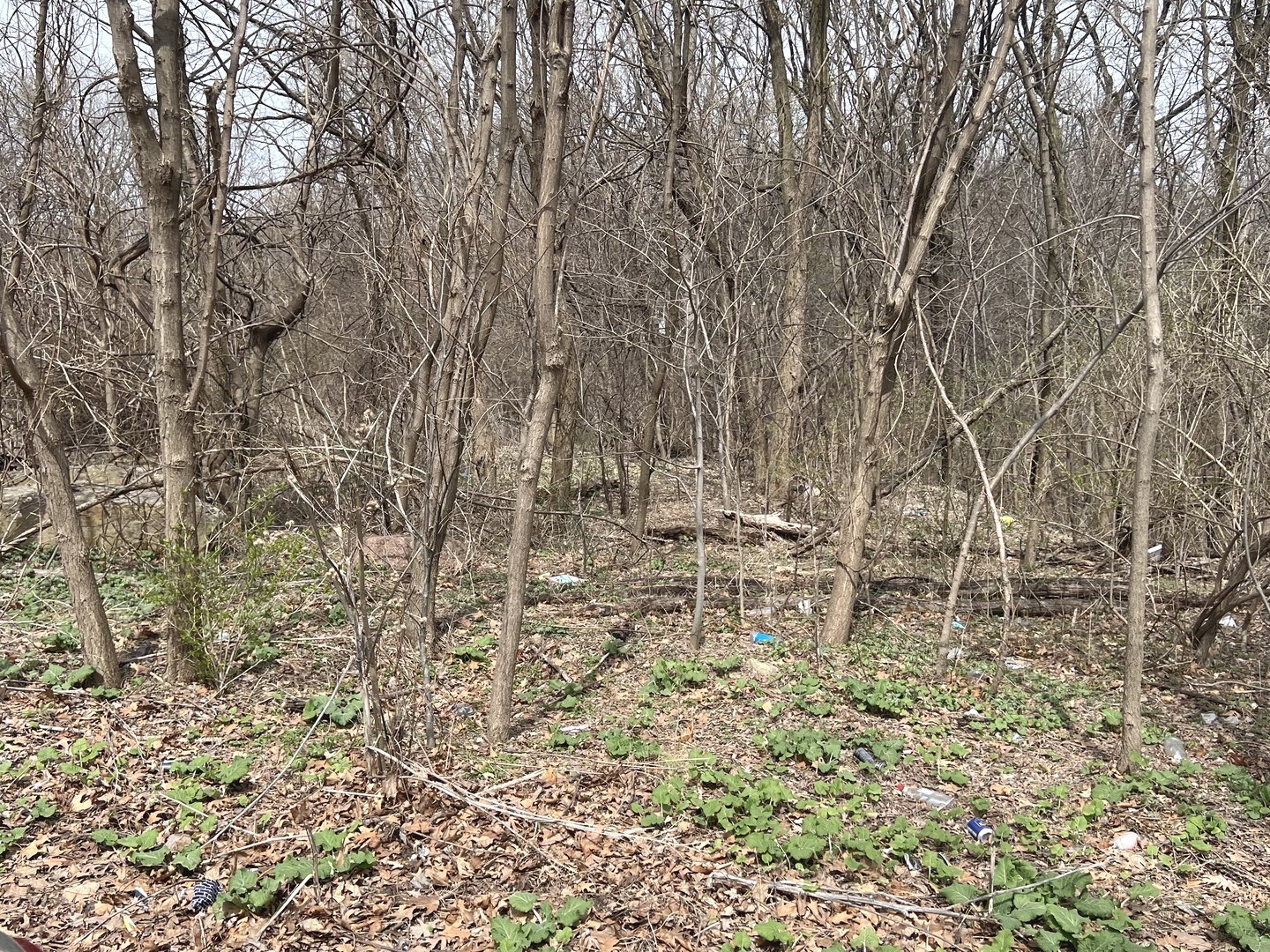 1213 W Park Front Street, Joliet, IL 60436