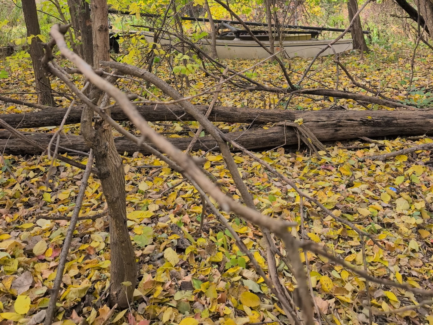 1213 W Park Front Street, Joliet, IL 60436