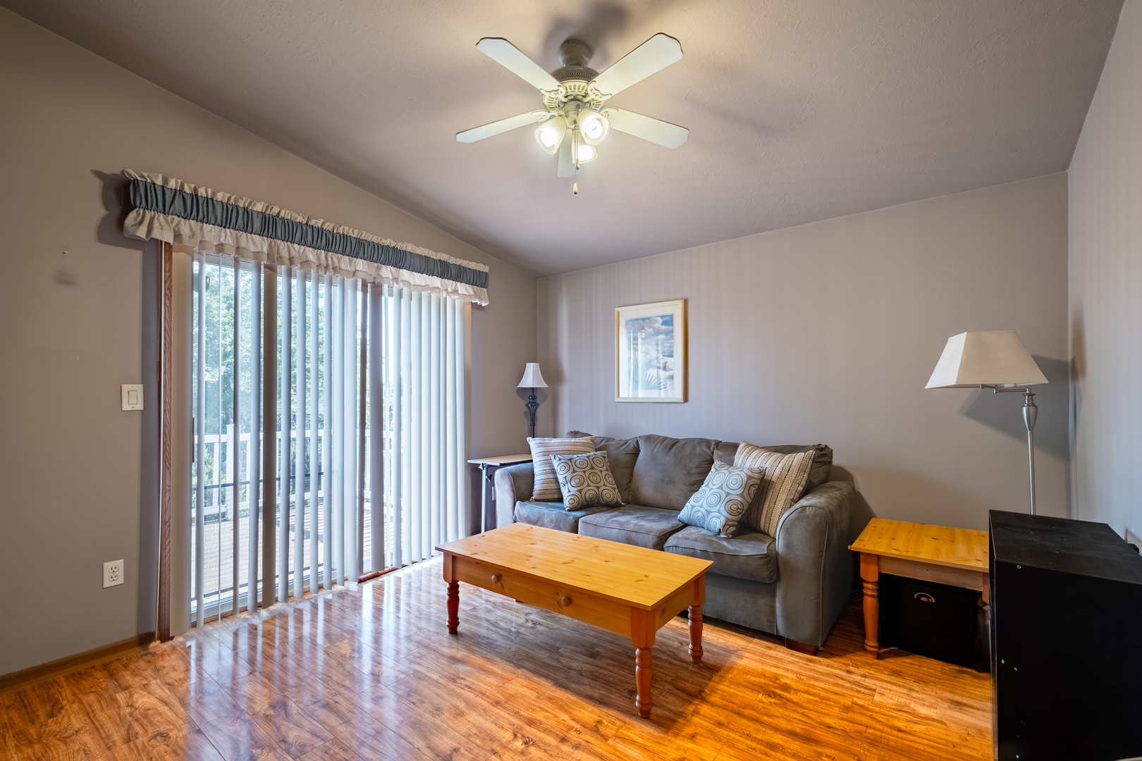 10706 W Silver Lake Drive, Frankfort, IL 60423