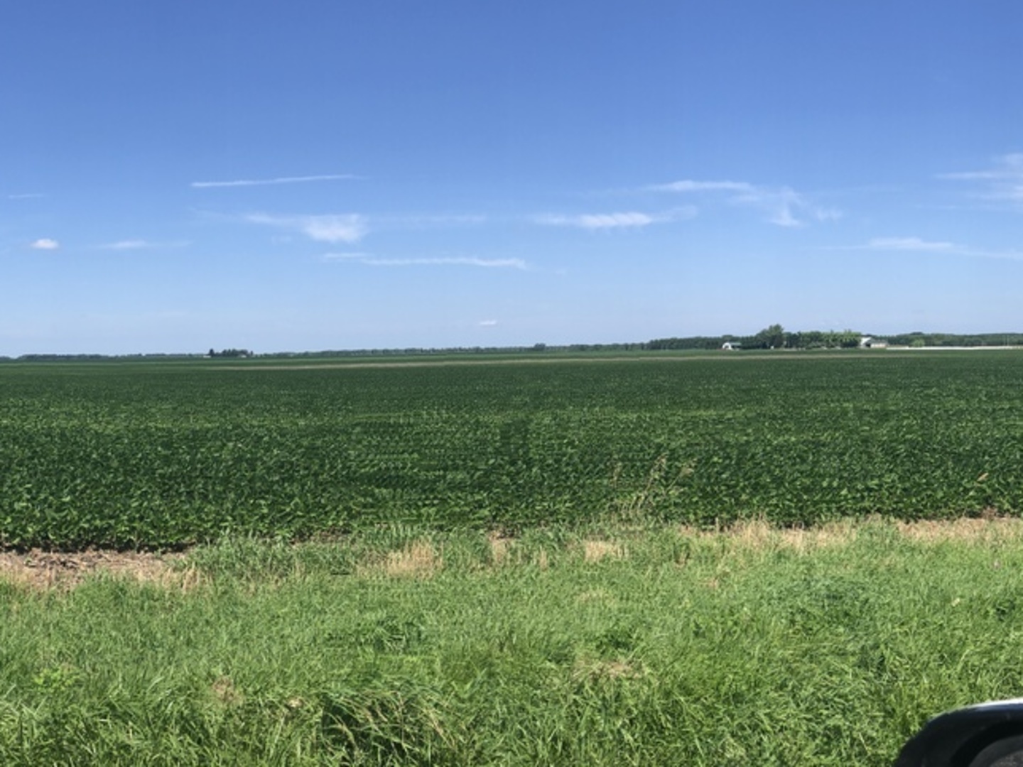 1100 E Road, Onarga, IL 60955