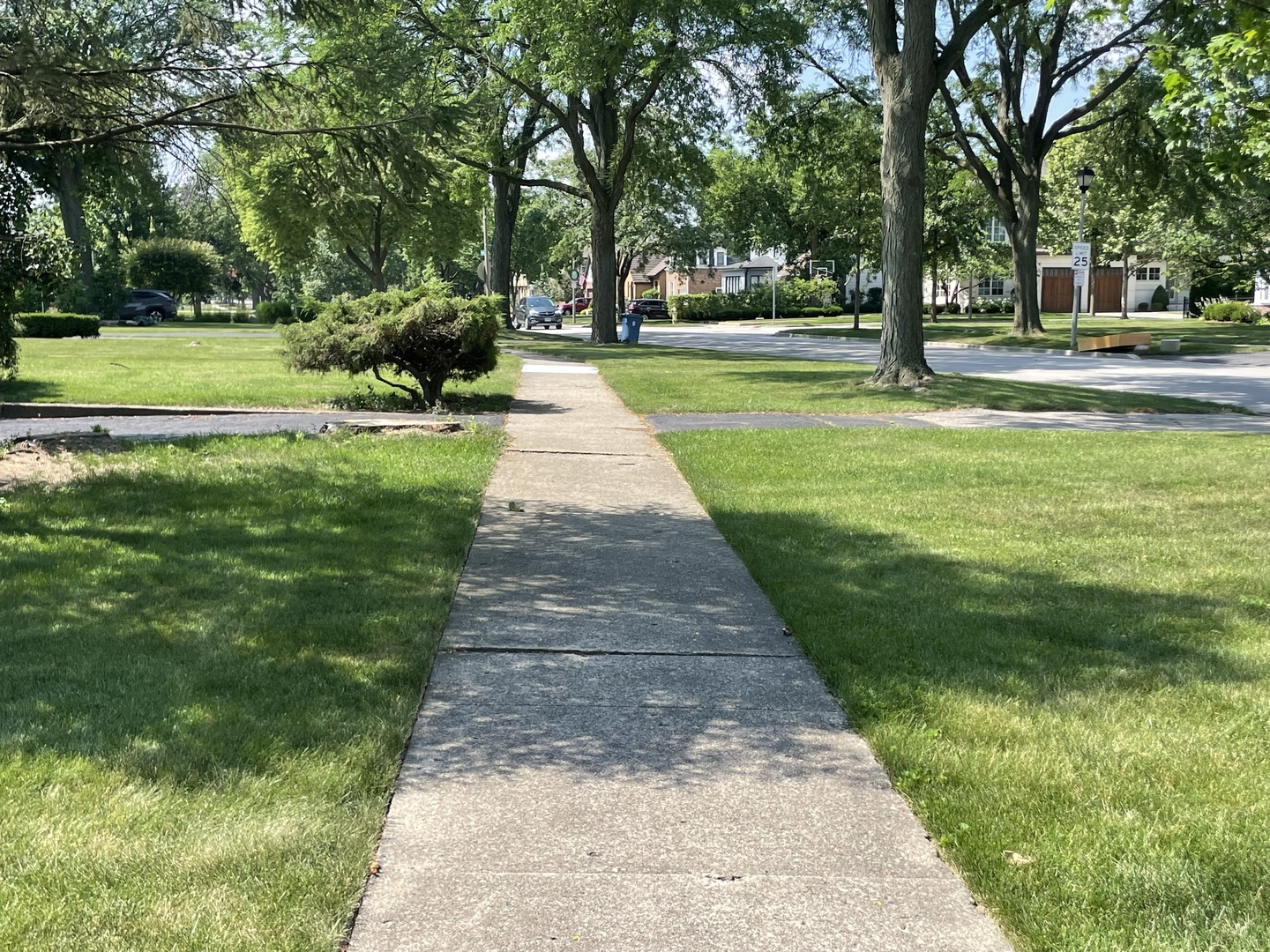107 S Poplar Avenue, Elmhurst, IL 60126
