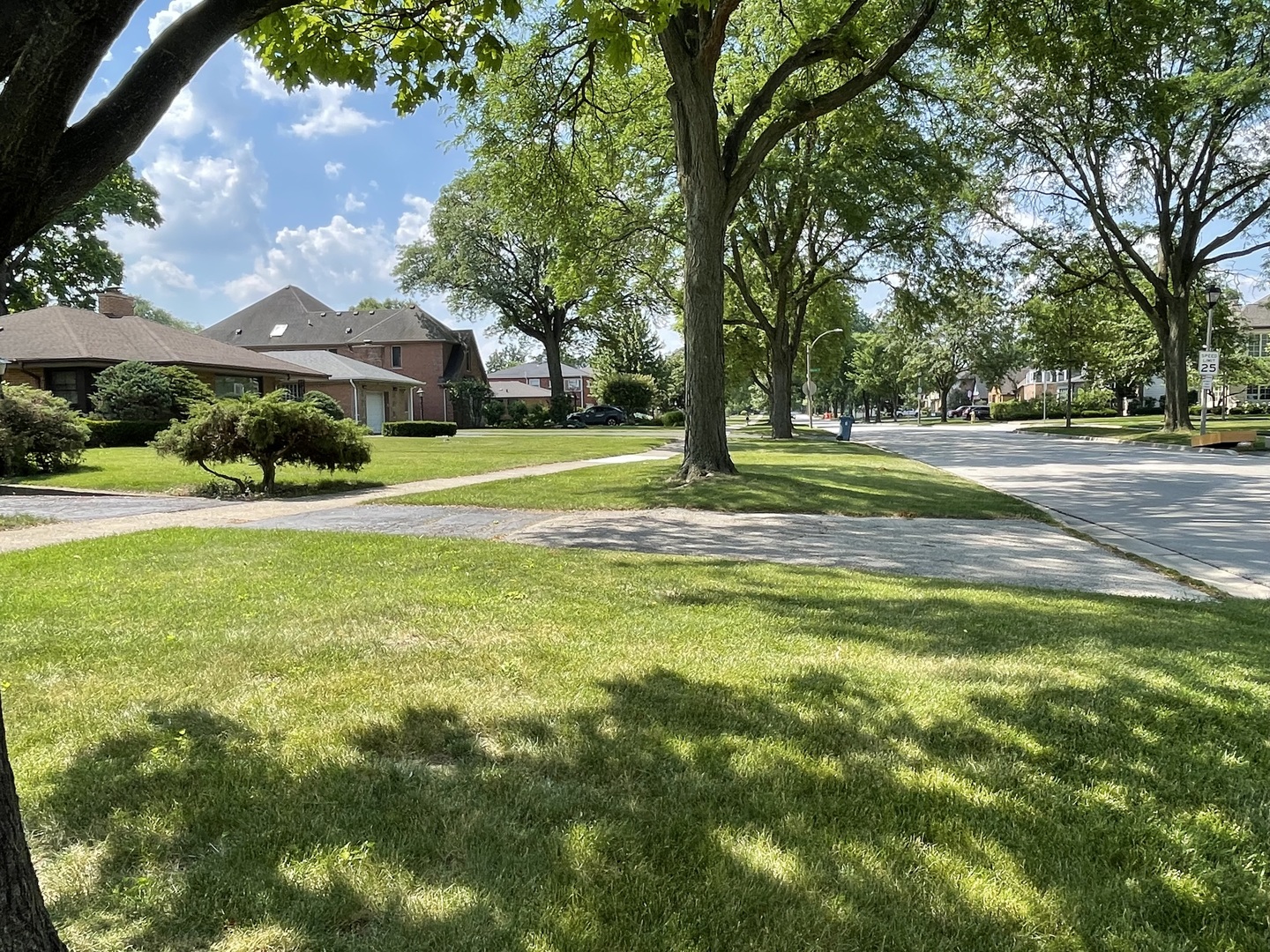 107 S Poplar Avenue, Elmhurst, IL 60126