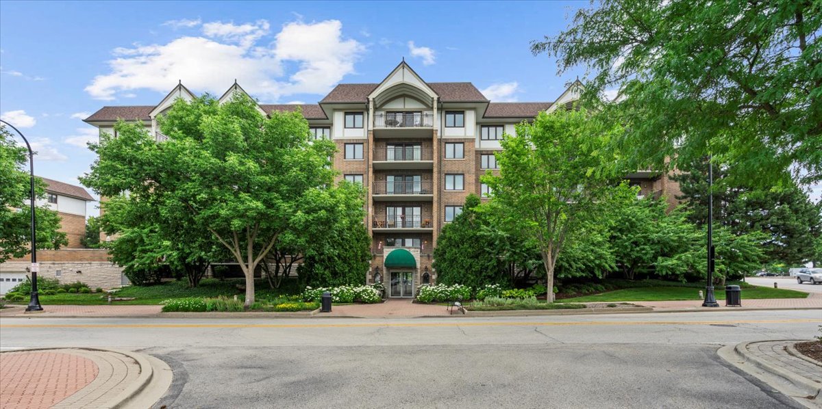 15 S Pine Street #204A, Mount Prospect, IL 60056