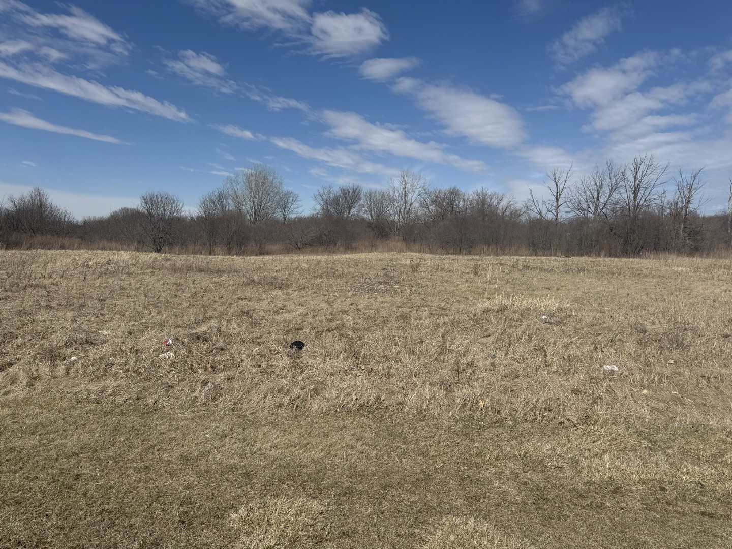 39520 N Green Bay Road, Beach Park, IL 60099