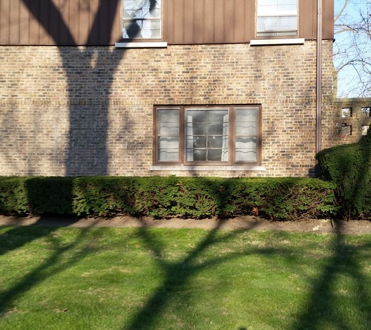 4338 Howard Avenue, Western Springs, IL 60558