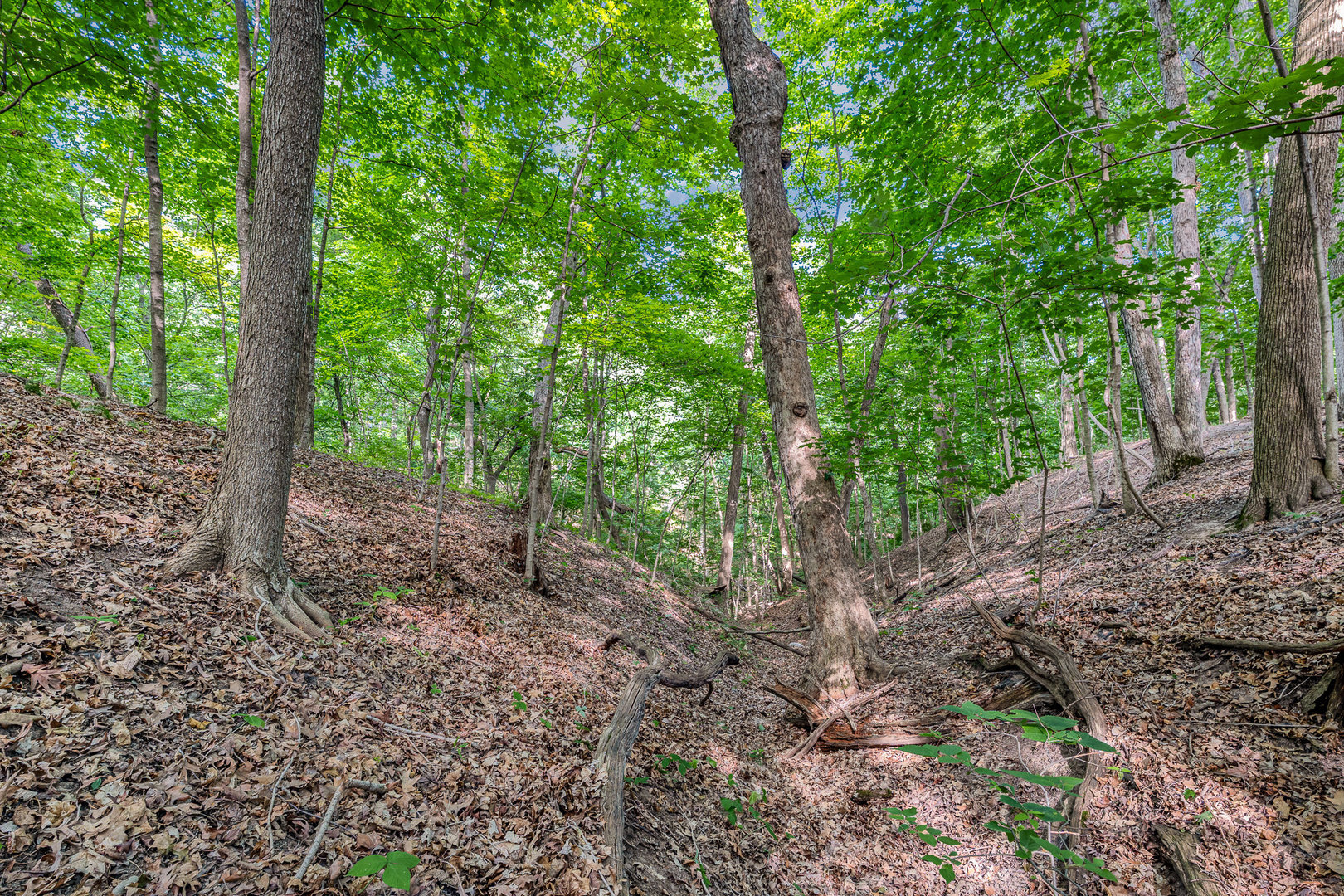 9.58 Acres E US Route 6, Marseilles, IL 61341