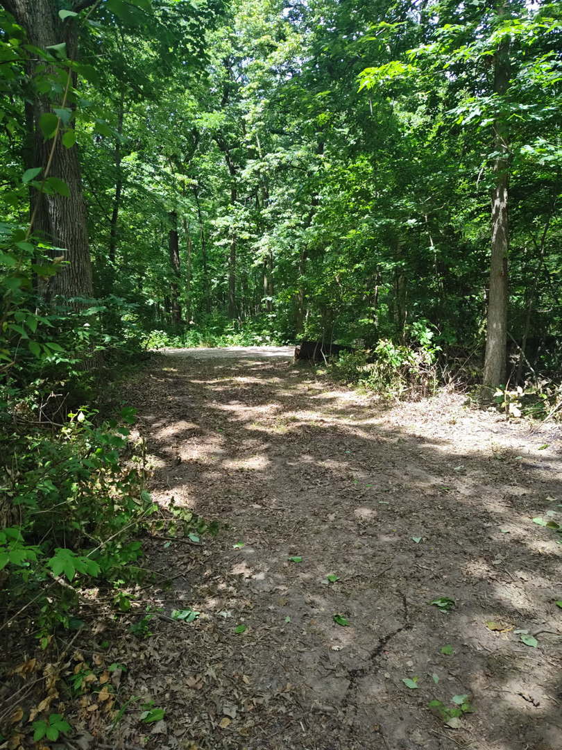 9.58 Acres E US Route 6, Marseilles, IL 61341