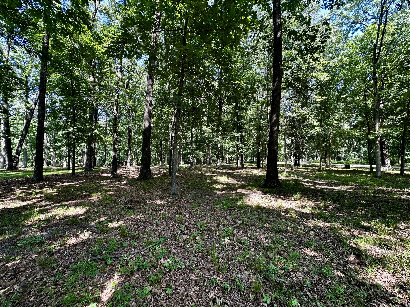 220 Beyers Lake Est, Pana, IL 62557