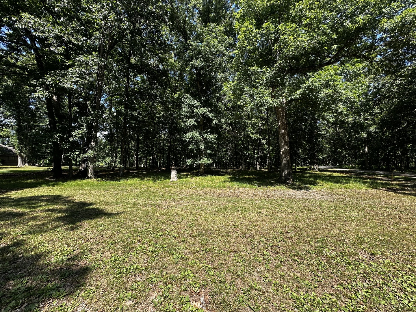 220 Beyers Lake Est, Pana, IL 62557